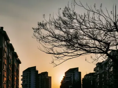 MegaReel Casino Mobiilirakendus